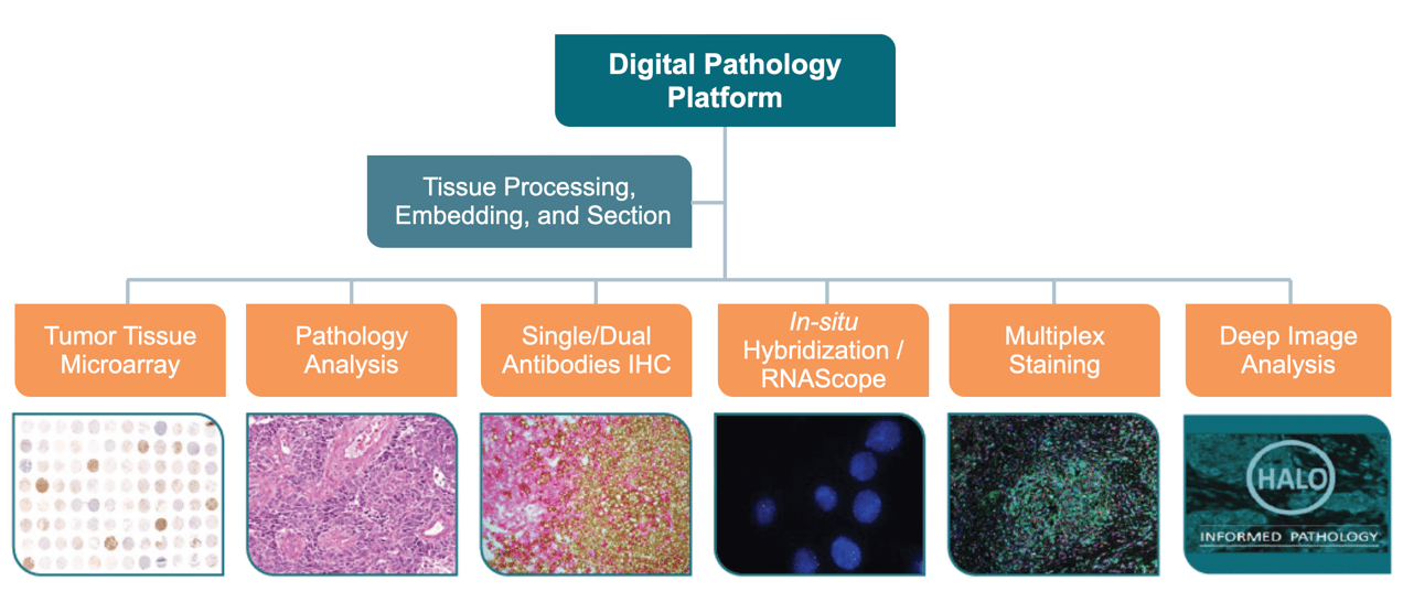 Digital Pathology Platform