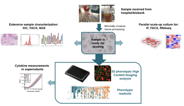 3d-ex-vivo-patient-tissue-platform