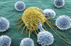Thumbnail for Immuno-oncology section