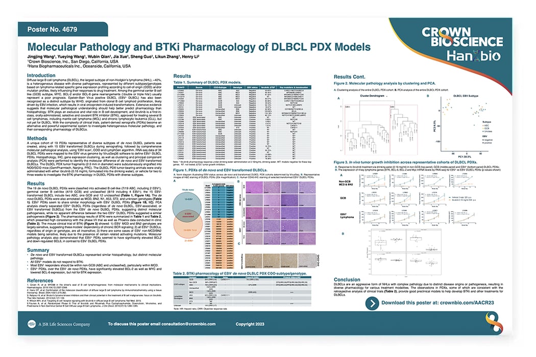 AACR 2023 Poster 4679 Molecular Pathology and BTKi Pharmacology of
