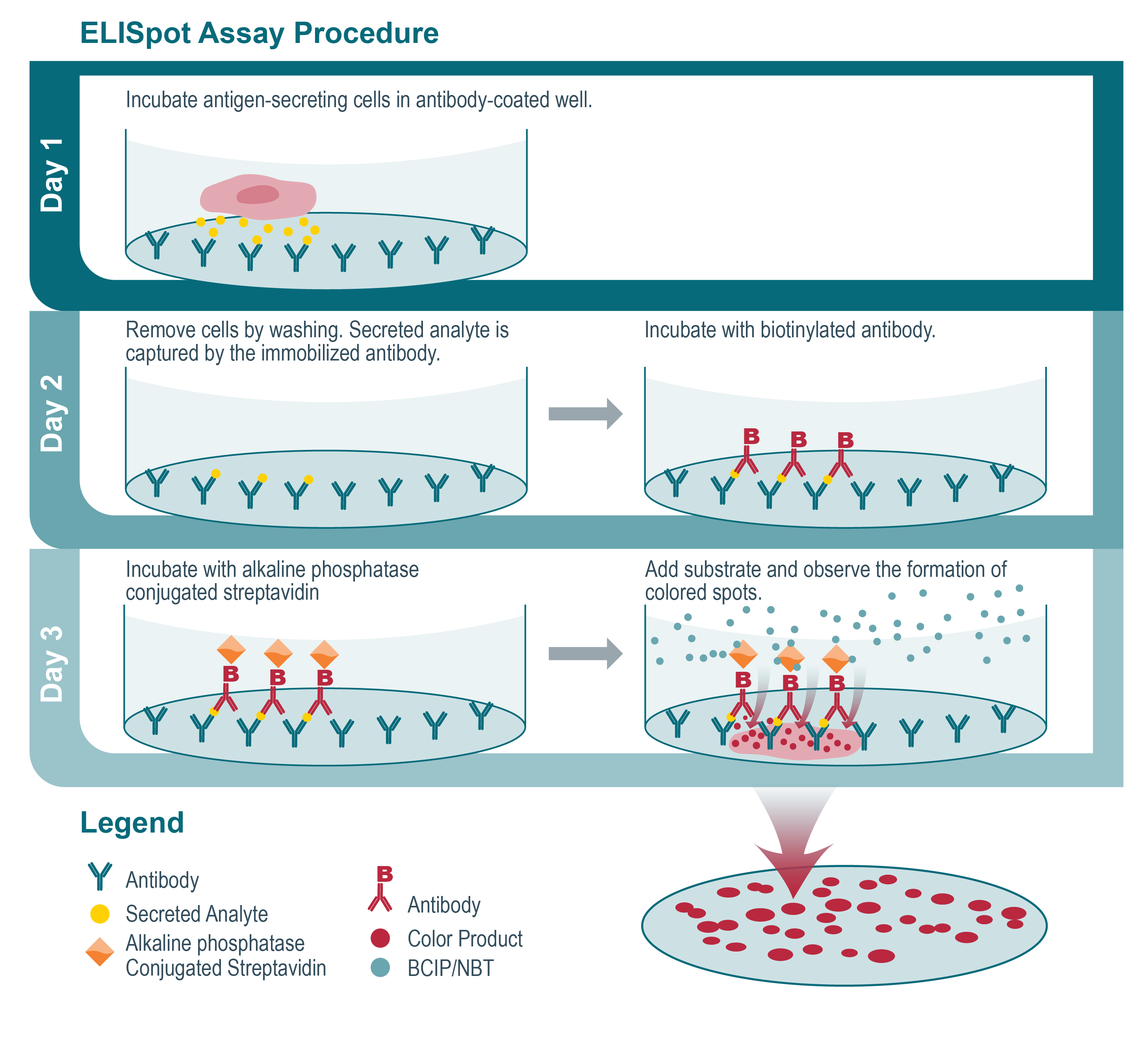 HighQuality Immunoassay Services Crown Bioscience
