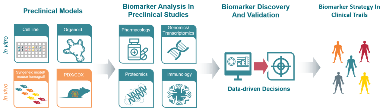 biomarker-strategy