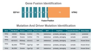 gene-fusion-identification