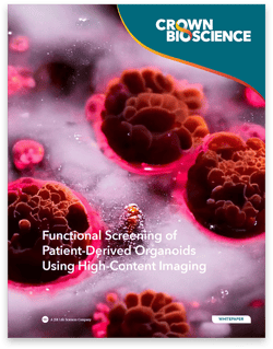 Functional Screening with Patient-Derived Organoids and High-Content Imaging