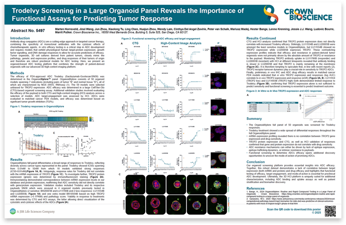 AACR 2025 Poster 5497: Trodelvy Screening in a Large Organoid Panel ...