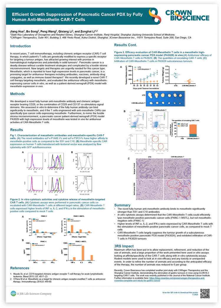 Using PDX for In Vivo CAR-T Cell Therapy Assessment