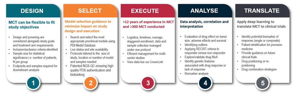 5_steps_mouse_clincial_trial