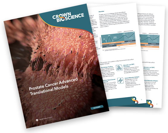 Prostatic Cancer Model Prostate Cancer PDX Models, Organoids & PSMA Characterization | Crown ...