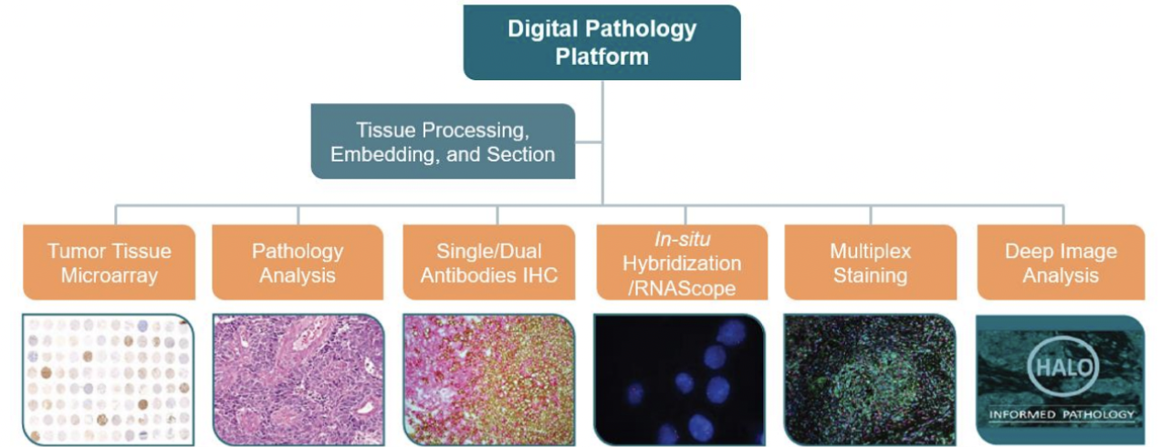 Digital_pathology_platform