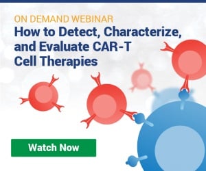 How to Detect, Characterize, and Evaluate CAR-T Cell Therapies