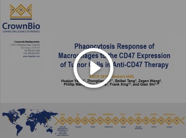 CrownBio 2018. Poster 4556: Disrupting the CD47-SIRPa Anti-Phagocytic Axis in I/O