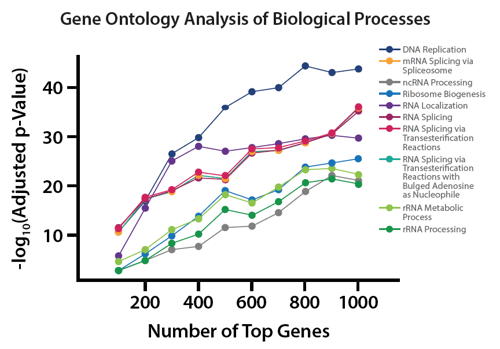 genomics services example data showing gene ontology analysis of biological processes