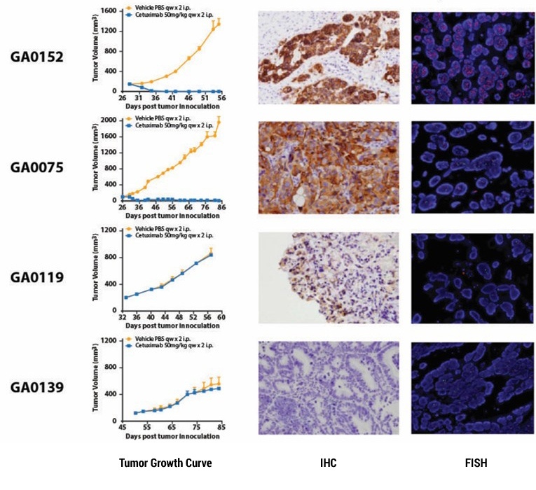 data of gene signature analysis data of gene signature analysis
