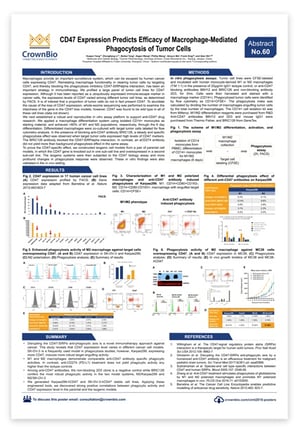 CrownBio 2018. Abstract 60: In Vitro Assay Platform to Test Anti-CD47 Agents