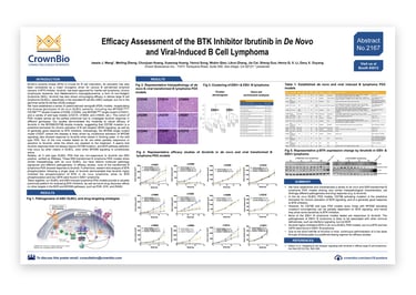 CrownBio 2018. Poster 2167: DLBCL PDX Models with Diverse Genotypes for BTKi Testing
