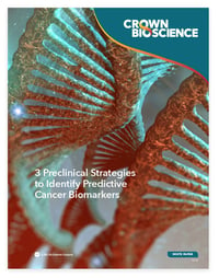 White Paper: 3 Preclinical Strategies to Identify Predictive Cancer Biomarkers