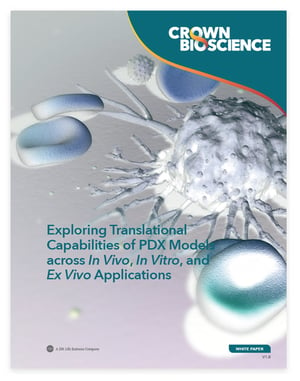 New White Paper: Exploring Translational Capabilities of PDX Models across In Vivo, In Vitro, and Ex Vivo Applications