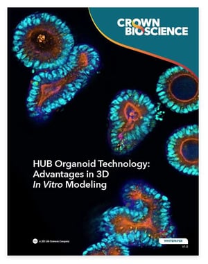 White Paper: HUB Organoid Technology: Advantages in 3D In Vitro Modeling