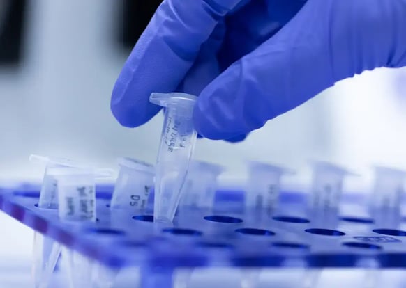 alt-content-Disease Indications and Molecularly Stratified Cohorts