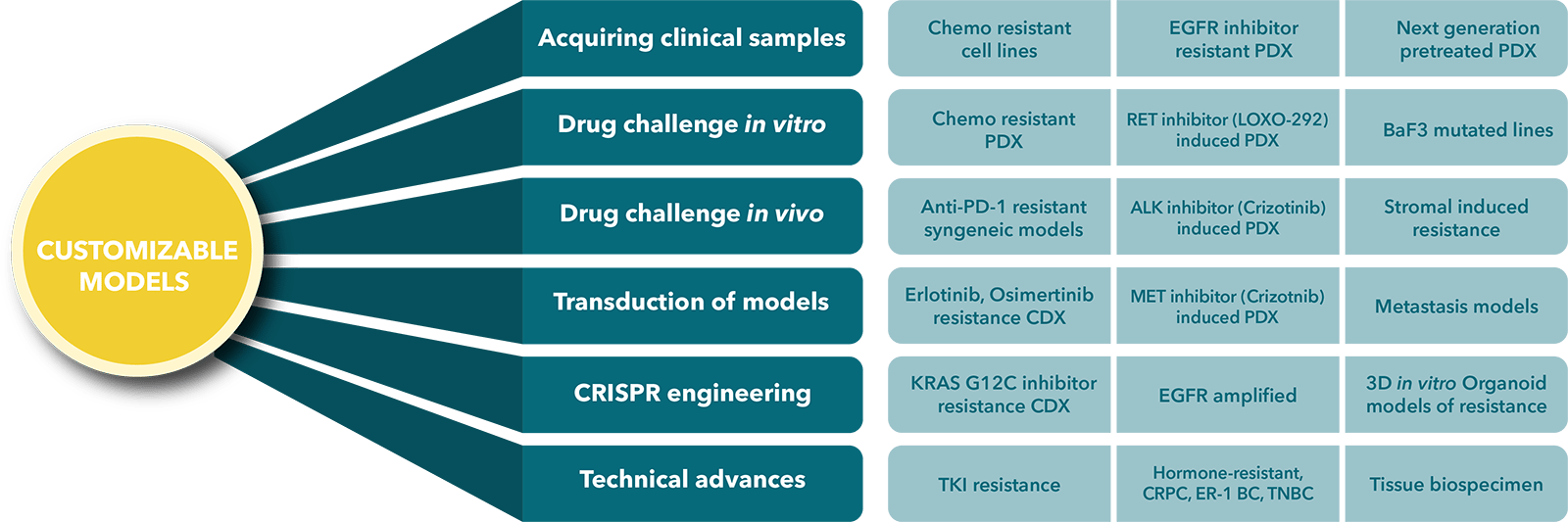 customizable-models-graphic-rich-text