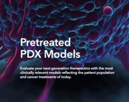 Pretreated PDX Models Image