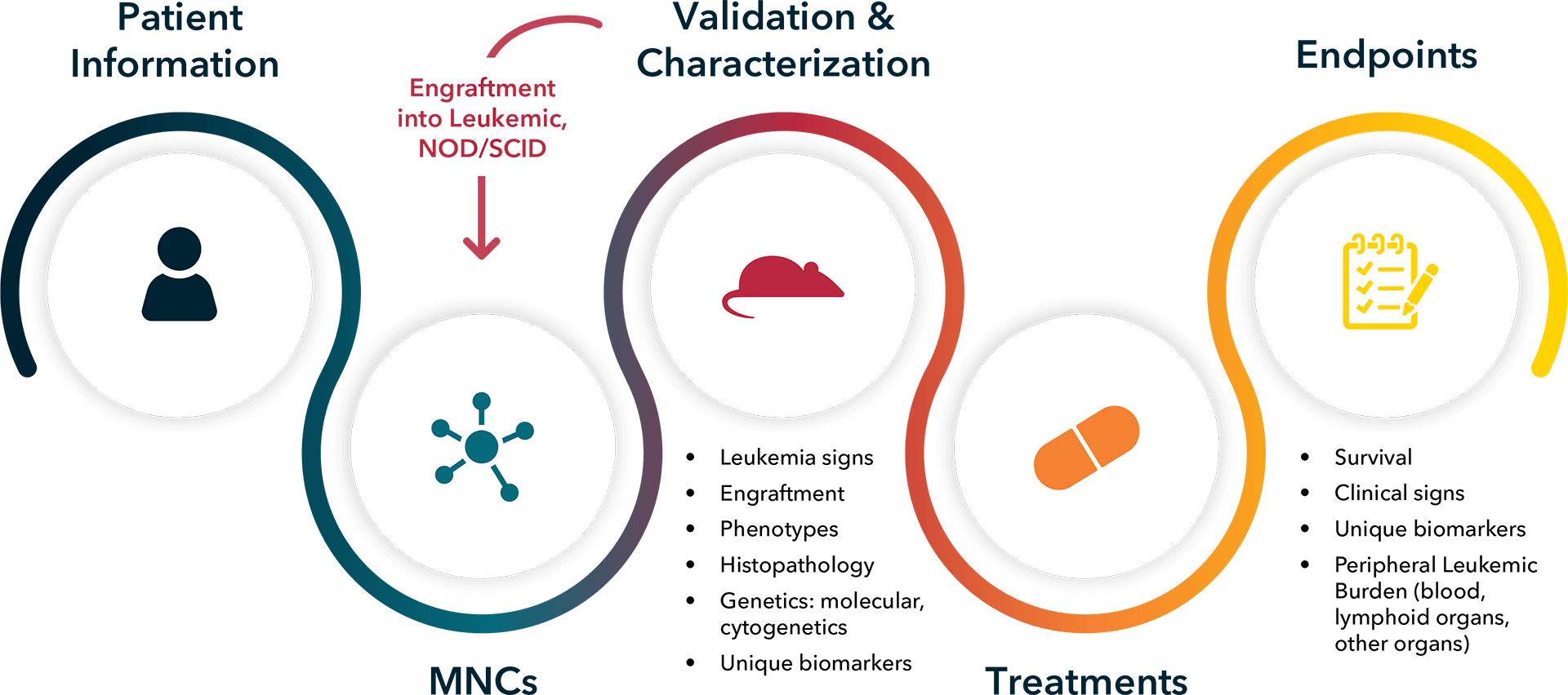 AML Drug Development | Crown Bioscience