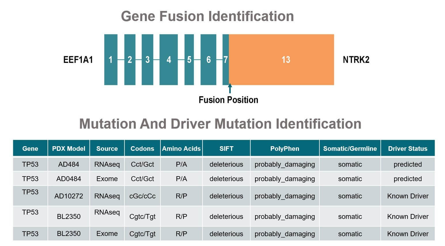 gene-fusion-identification