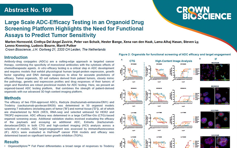 ENA 2024 Poster 169: Large Scale ADC-Efficacy Testing in an Organoid Drug Screening Platform Highlights the Need for...