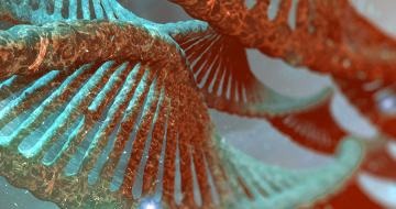 3 Preclinical Strategies to Identify Predictive Cancer Biomarkers