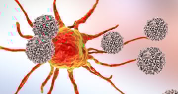 3 Strategies for Applying Humanized Models