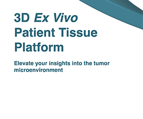 Elevate Your Insights into the Tumor Microenvironment