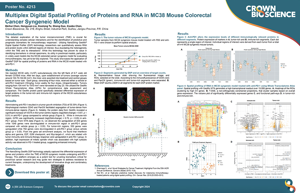 AACR 2024 Poster 4213: Multiplex Digital Spatial Profiling of Proteins and RNA in MC38 Mouse Colorectal Cancer Syngeneic Model