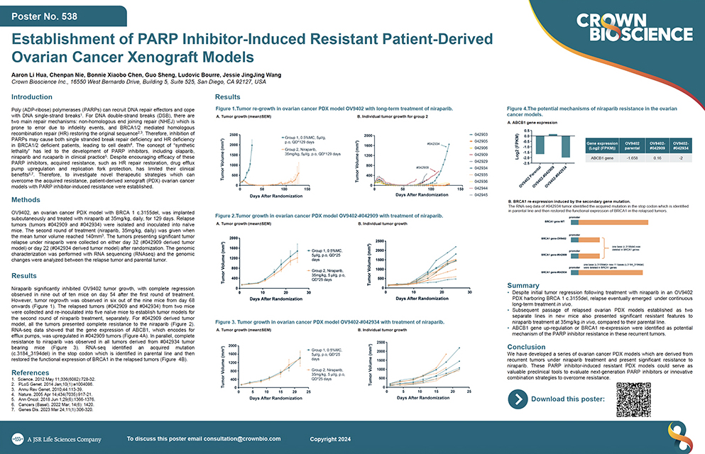 AACR 2024 Poster 538: Establishment of PARP Inhibitor-Induced Resistant Patient-Derived...