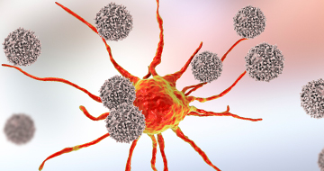 Advanced Models and Novel I/O Technologies for Preclinical PDAC Research