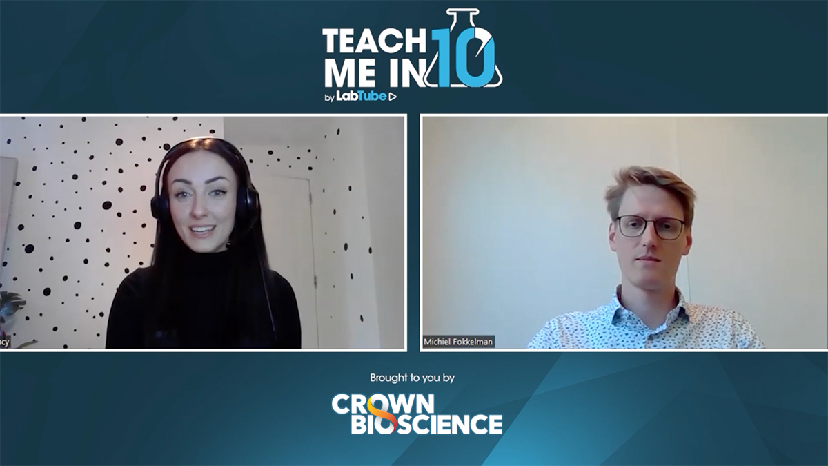 High-Throughput and High-Content Screening in Organoids and 3D Models
