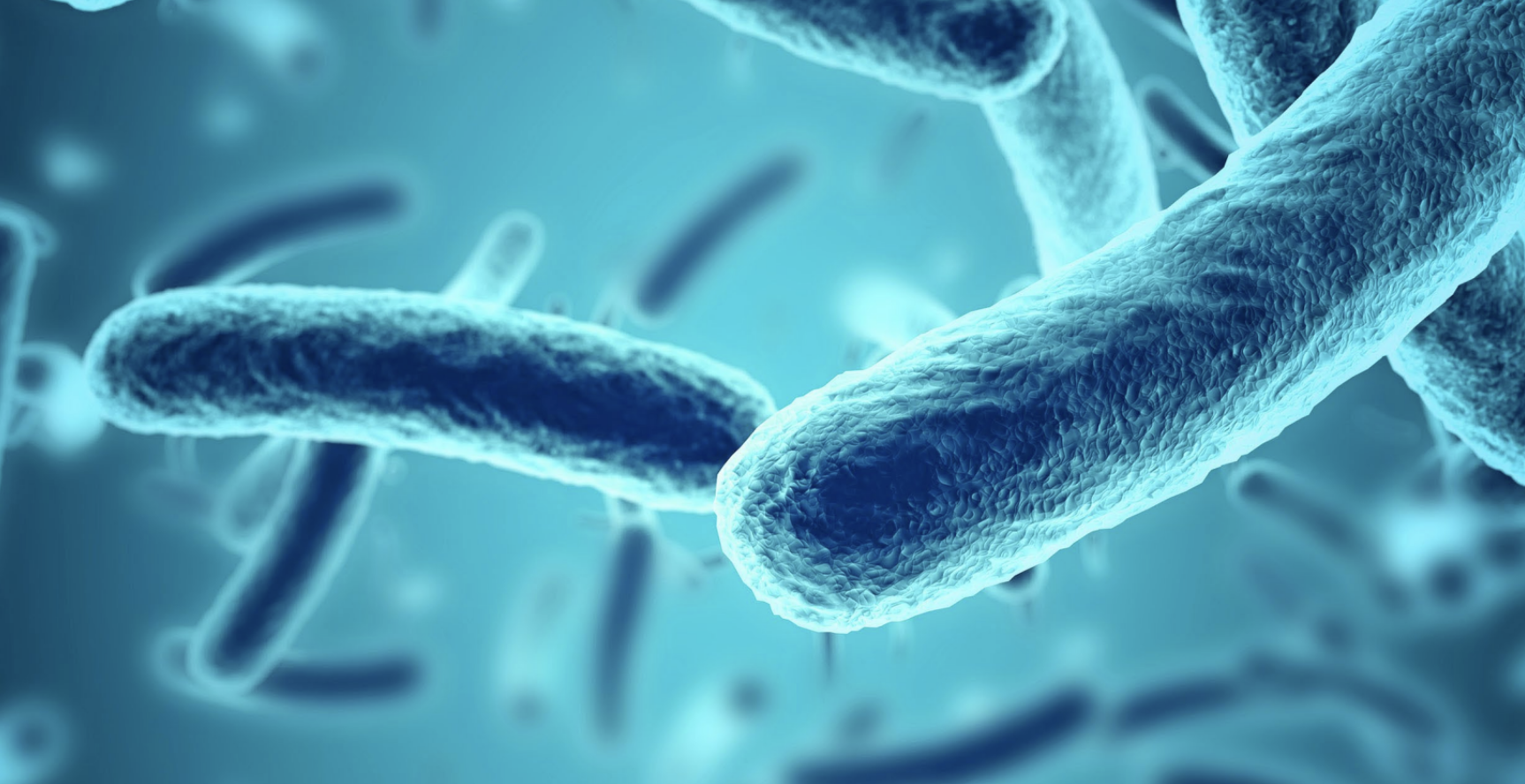 Microbiome Sequencing