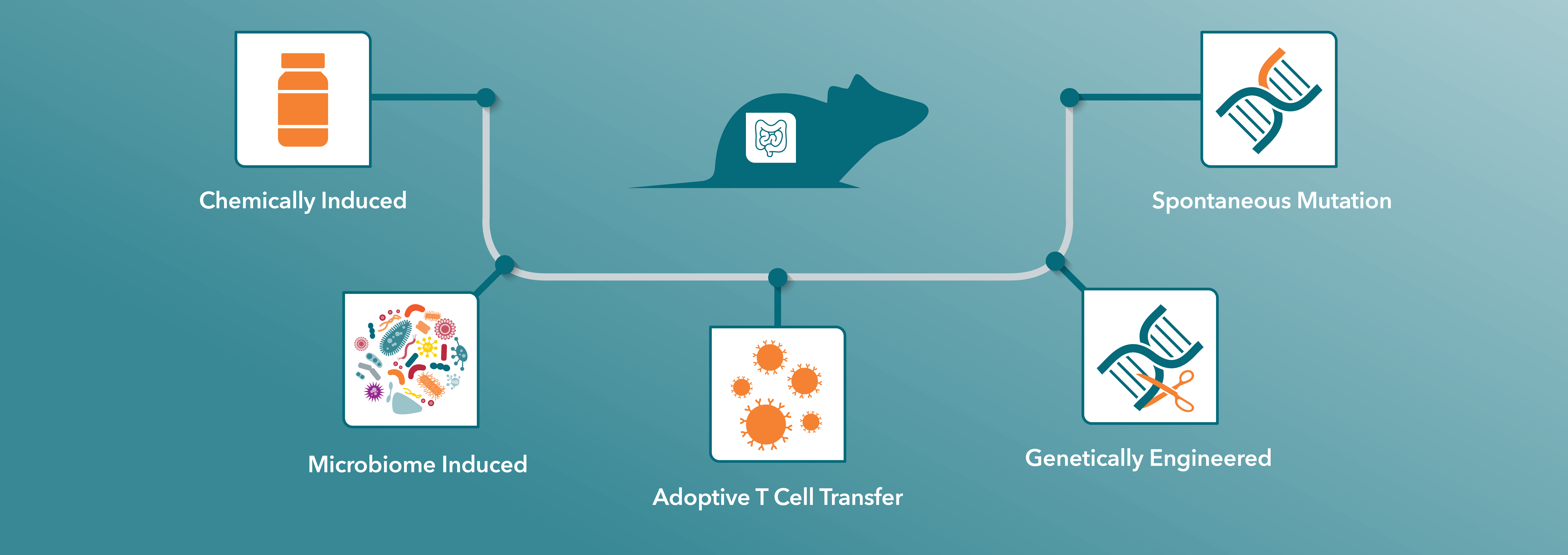 Crown Bioscience Blog Pirouz Daftarian, PhD