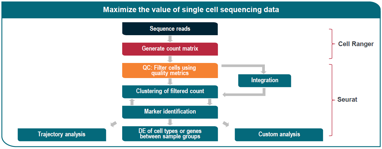 single-sequencing-value