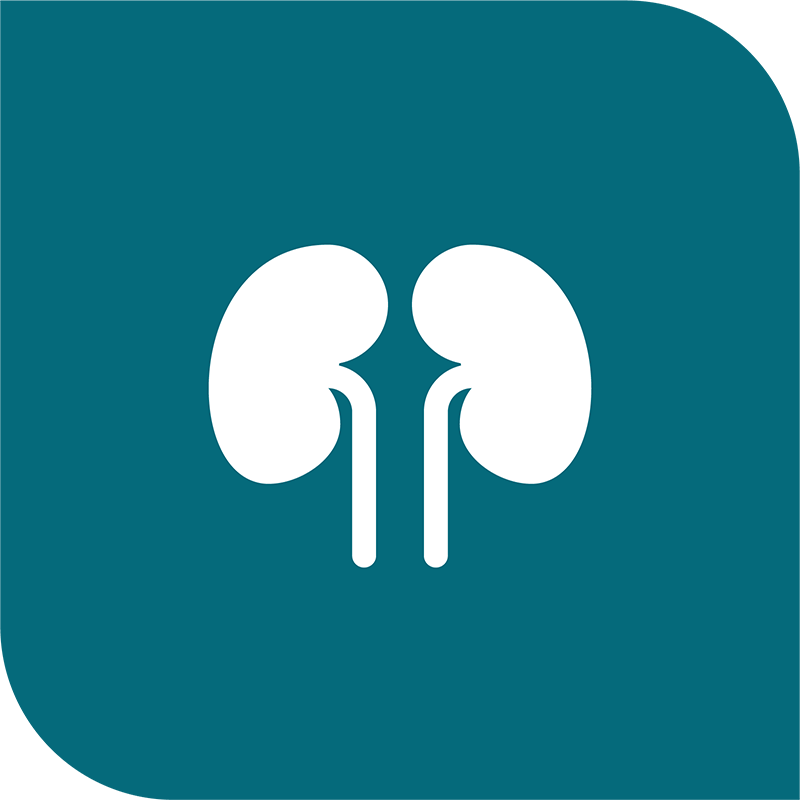 icon-kidney