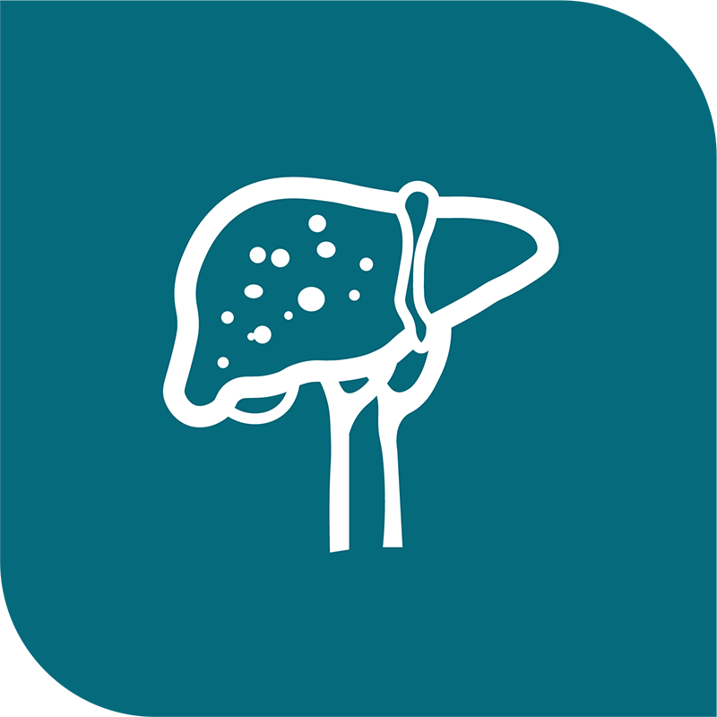 icon-liver