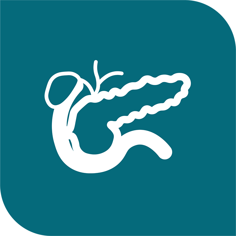 icon-pancreatic