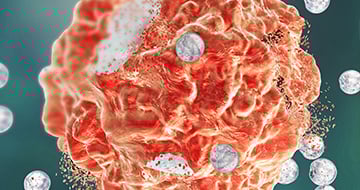 Cell-Based Target Identification