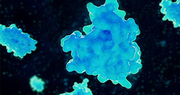 Cytokine and Chemokine Profiling