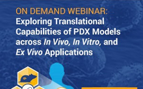 Exploring Translational Capabilities of PDX Models across In Vivo, In Vitro and Ex Vivo Applications