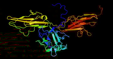 FGFR3 Fusion In Vivo Xenograft Platform