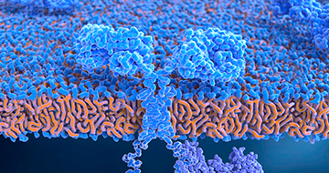 How to Detect, Characterize, and Evaluate CAR-T Cell Therapies