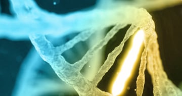 HuGEMM™ and HuCELL™ Models