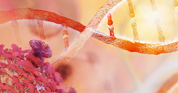 Immuno-Oncology Platforms