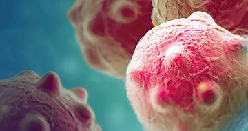 MuPrime Tumor Homografts