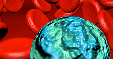 Myeloid Cell Repolarization HCI Assay